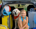 Auto Loan